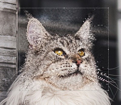 選択していた範囲の画質が荒くなった