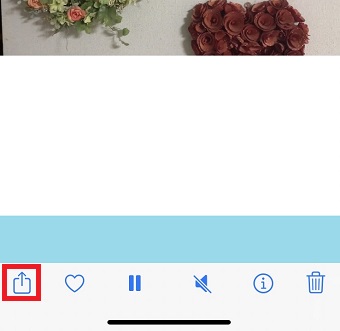 共有ボタンをタップ