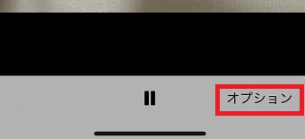 「オプション」をタップ