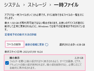 「縮小表示」のチェックボックスを有効にしてから「ファイルの削除」をクリック