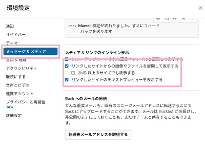 「メッセージ&メディア」→「メディア&リンクのインライン表示」項目の「リンクしたサイトからの画像やファイルを展開して表示する」と「リンクしたサイトのテキストプレビューを表示する」のチェックボックスを有効にする