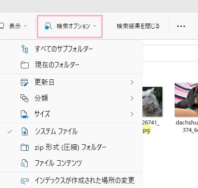 「検索オプション」から検索設定を変更することができる