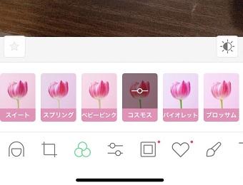 ピンクの花で表現されているものはピンク加工ができる