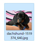 対象のファイル・フォルダを選択して、「F2キー」を押す