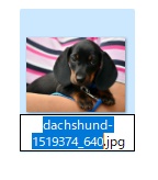 ファイル・フォルダの名前は範囲選択された状態で文字を入力