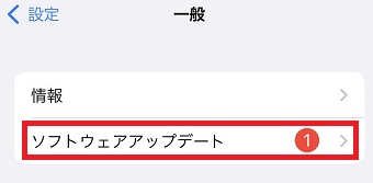 「ソフトウェアアップデート」をタップ