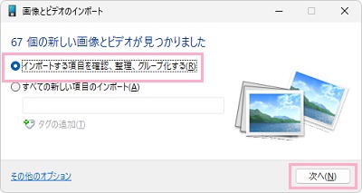 「インポートする項目を確認、整理、グループ化する」を選択して「次へ」をクリック