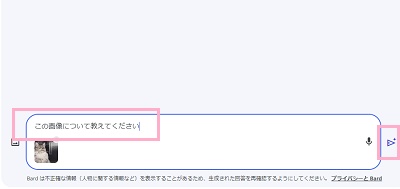 画像についての質問文を入力してから「送信」ボタンをクリック