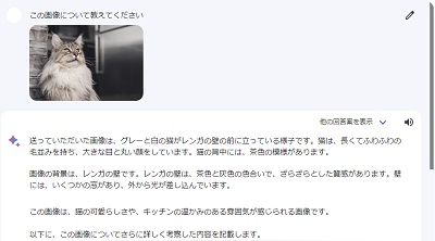 アップロードした画像の解析を行いチャットで説明してくれる