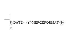 日付のフィールドの「{DATE---\*MERGEFORMAT-}」を追加できた