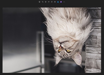 上下が逆になっている写真