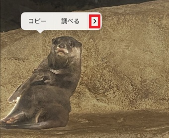 「＞」をタップ