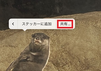 「共有」をタップ