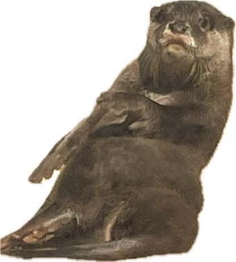 「写真」アプリに背景が透過された写真が保存された