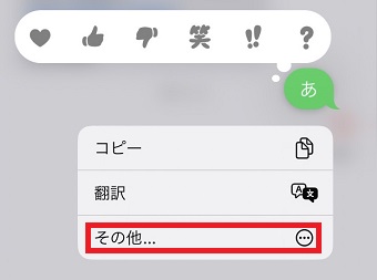 「その他」をタップ