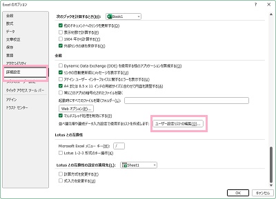 「詳細設定」→「ユーザー設定リストの編集」をクリック