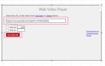 Web Video Playerの入力欄にURLを挿入してから、「Set Video」ボタンをクリック
