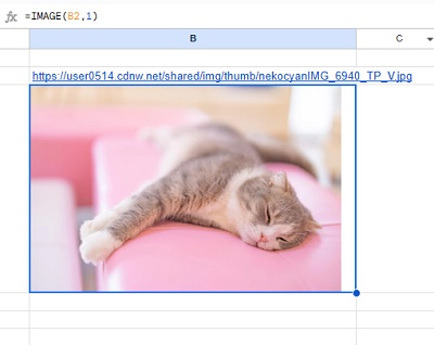 画像のURLから画像をスプレッドシート内に貼り付けることができた