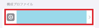 削除したいプロファイルをタップ