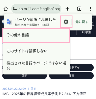 設定ボタン→「その他の言語」をタップ