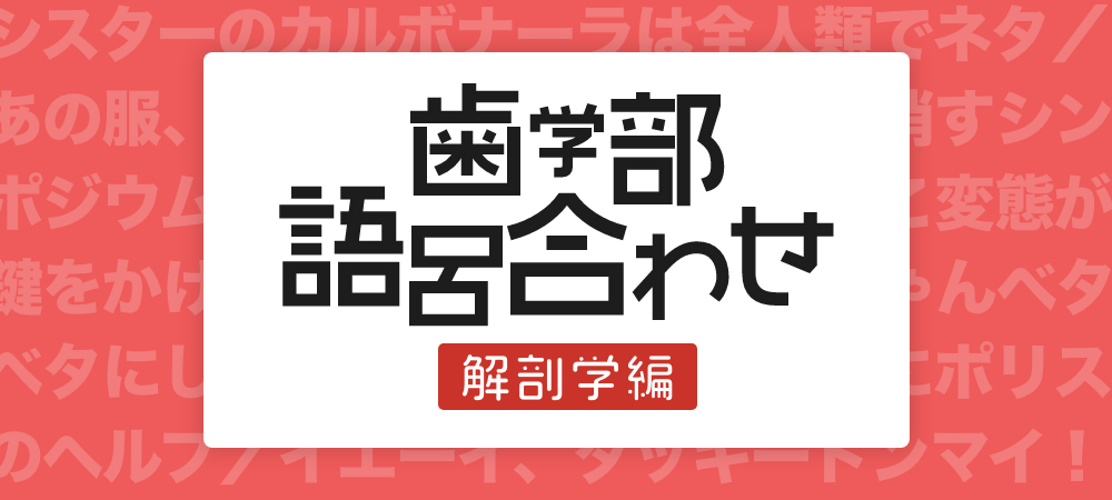 歯学部ゴロ合わせ】歯科医師国家試験に出る！語呂合わせ10選