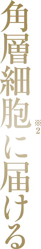 角層細胞に届ける