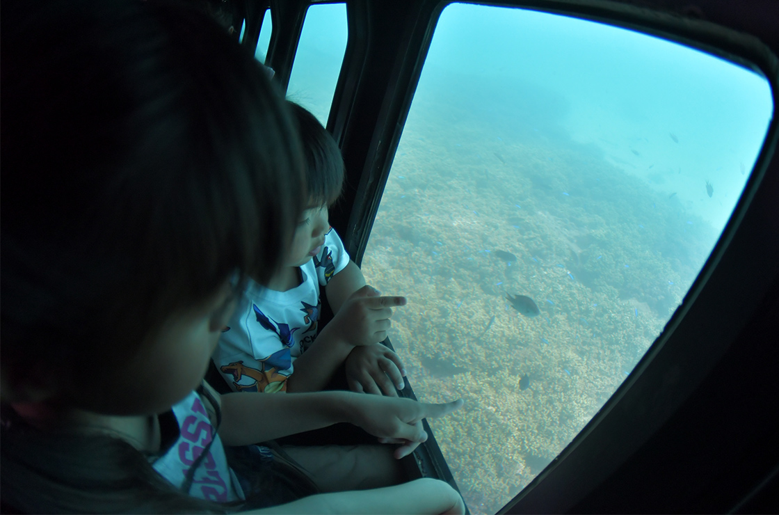 海中観光船ブルーマリン　乗船ペアチケット