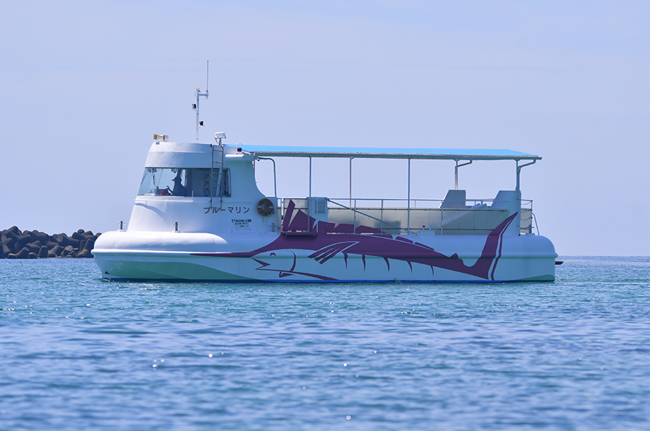 海中観光船ブルーマリン　乗船ペアチケット