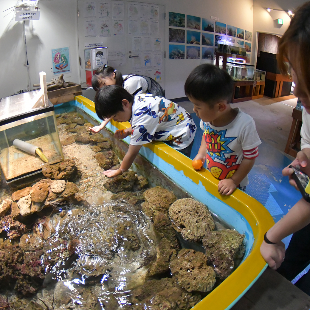 マリンジャムより 海中観光船ブルーマリン　乗船ペアチケット をプレゼント！