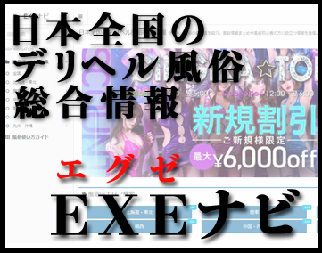 EXEナビ