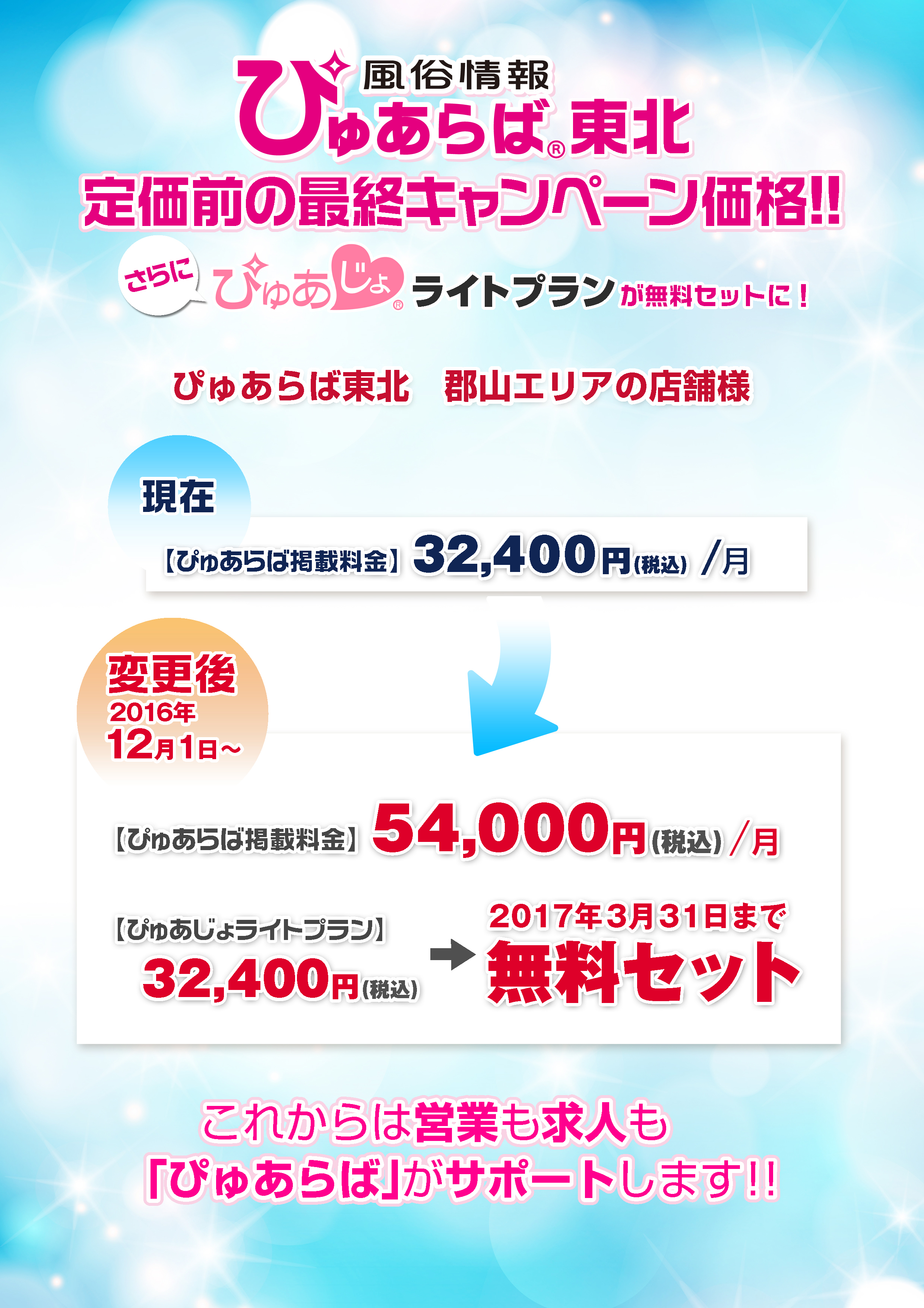 ぴゅあらば東北最終キャンペーン資料
