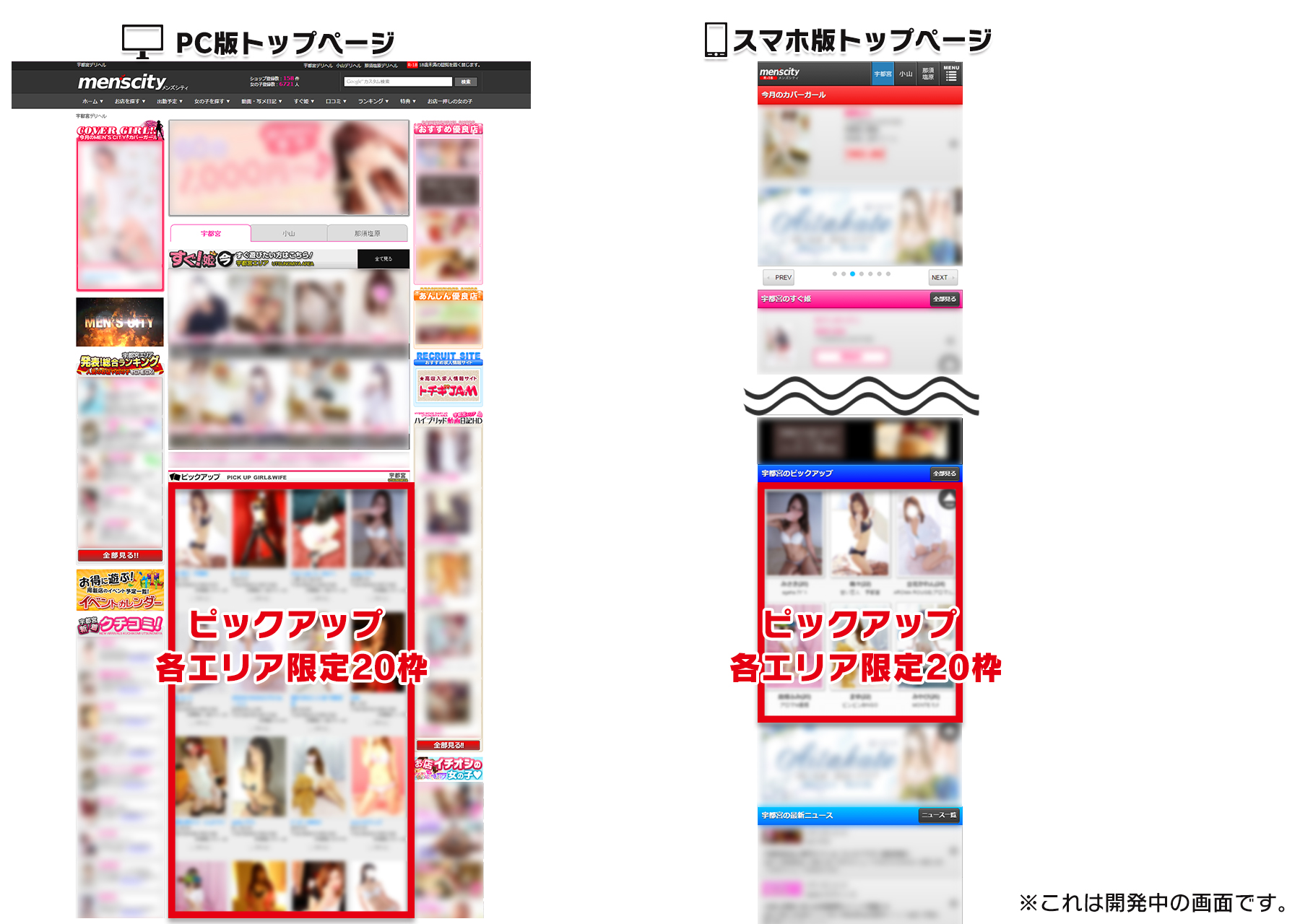 ピックアップ説明画像