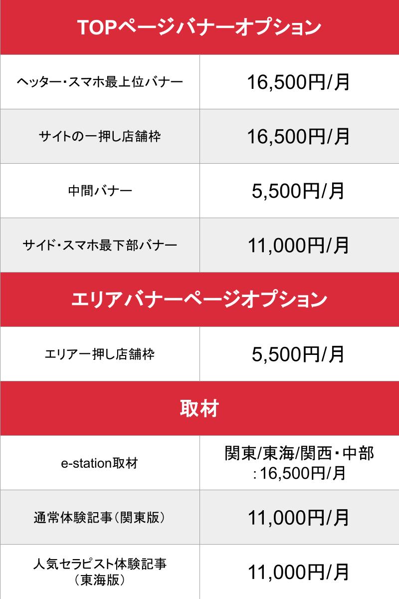 e-station_オプション_料金表