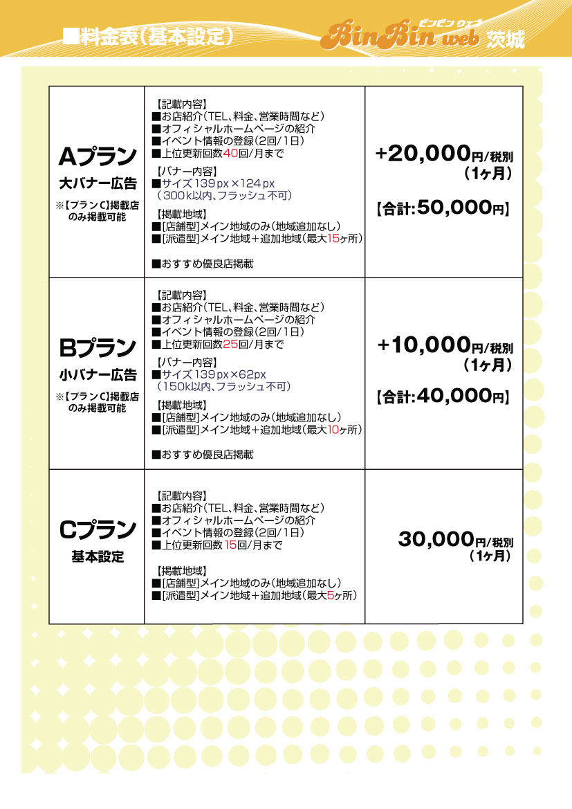 【ビンビンウェブ】茨城版料金表