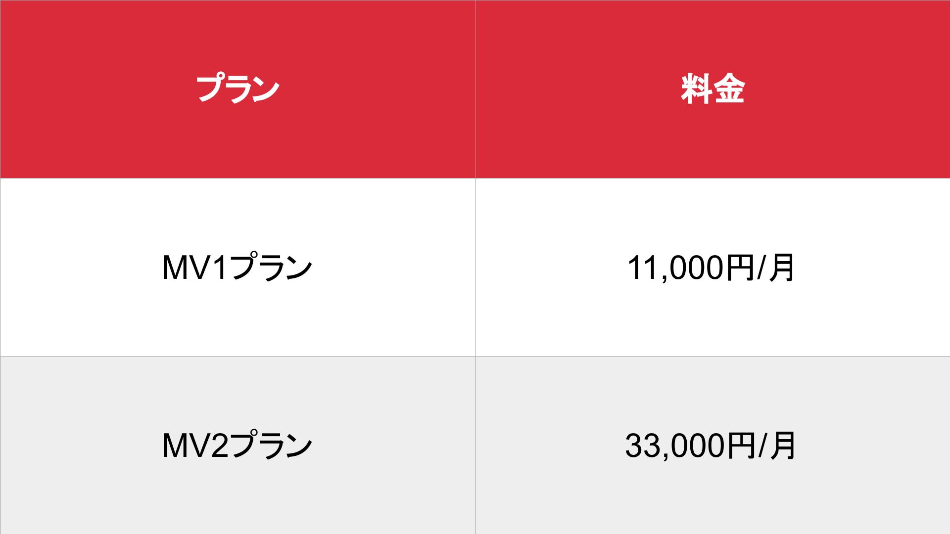 メンズビガー_基本_料金表