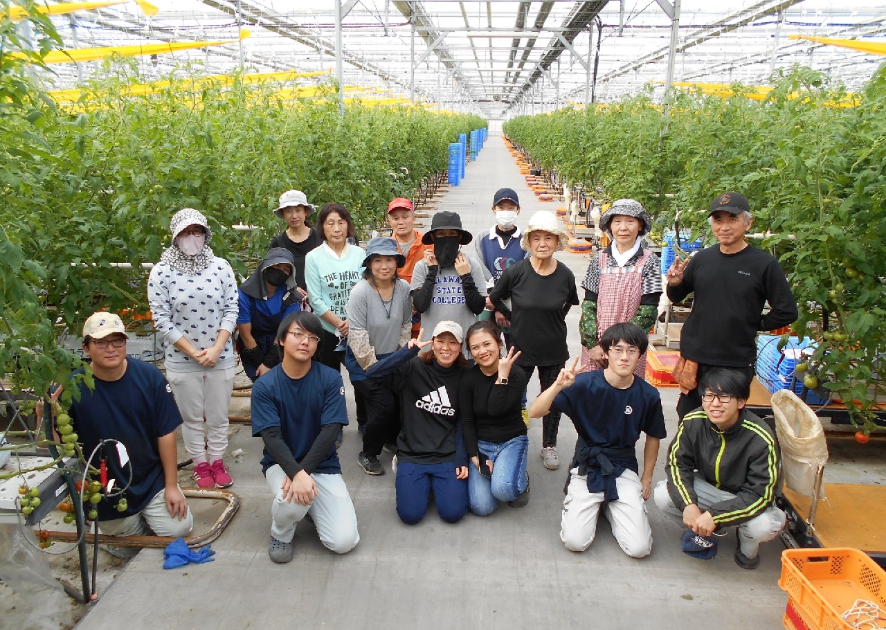 【作業スタッフ】大規模植物工場・農作業職員の募集🥬経験不要/男子寮あり