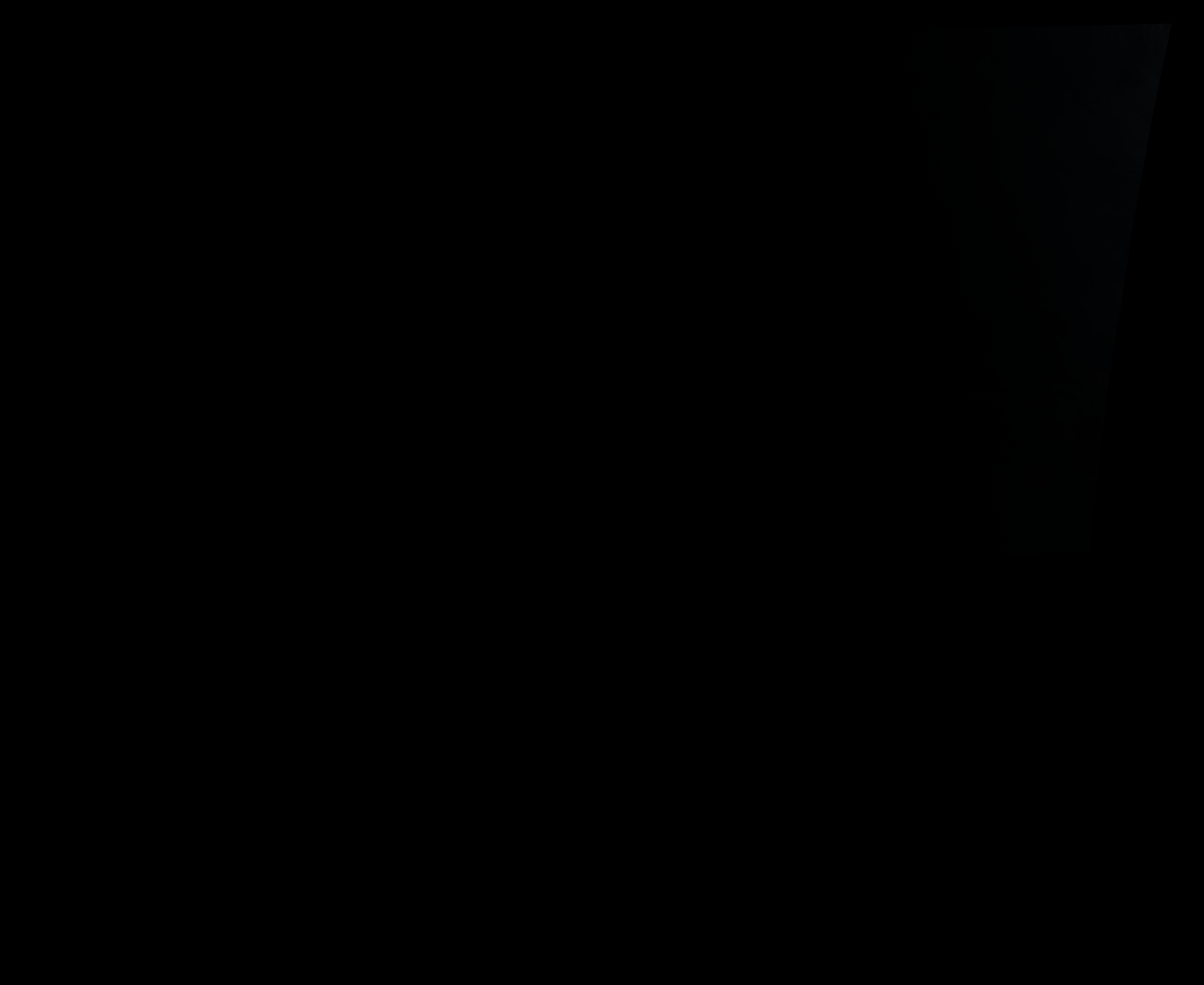 衛星画像(可視)