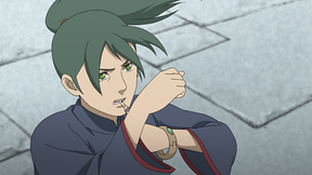 闘う獣