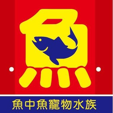 魚中魚寵物水族