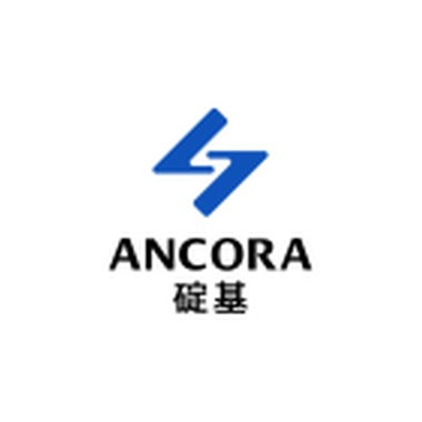 碇基半導體(股)公司 碇基半導體(股)公司