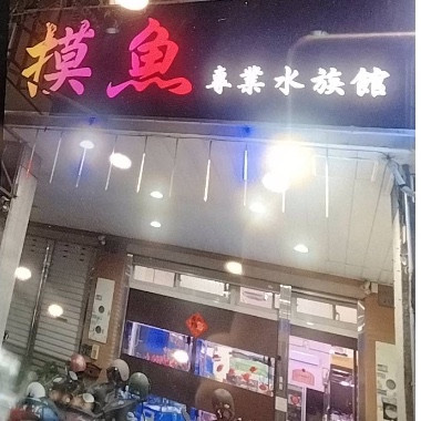 摸魚專業水族館