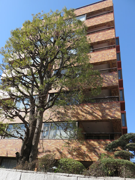 東高参宮橋ペアシティの外観