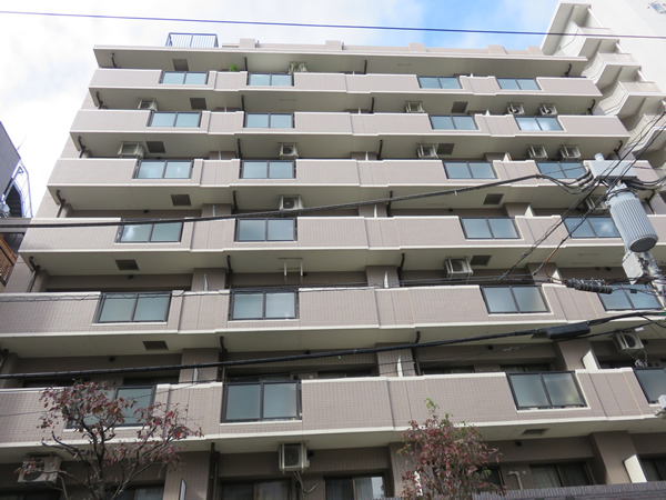 ライオンズプラザ東麻布の外観