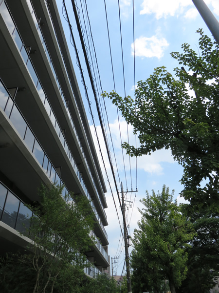 レジェイド美しが丘の外観