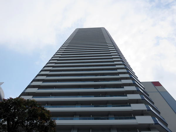 ザ・ヨコハマタワーズサウスコートの外観