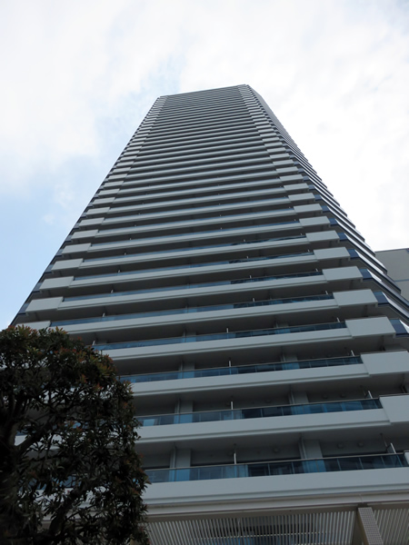 ザ・ヨコハマタワーズサウスコートの外観