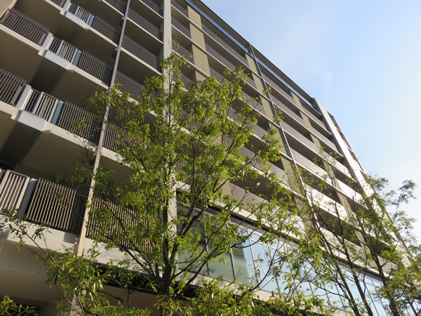 美しが丘ドエリングB棟の外観