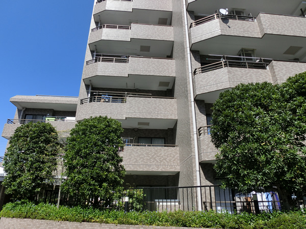 藤和シティコープ綱島2の外観