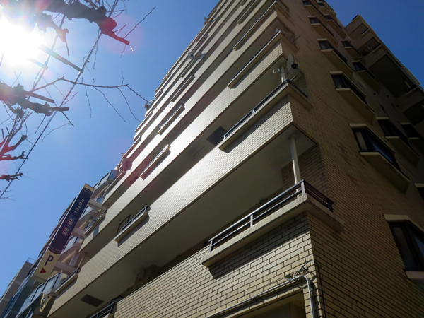 ネオアージュ横浜大通り公園の外観