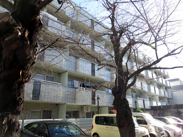 藤和初台コープ2の外観